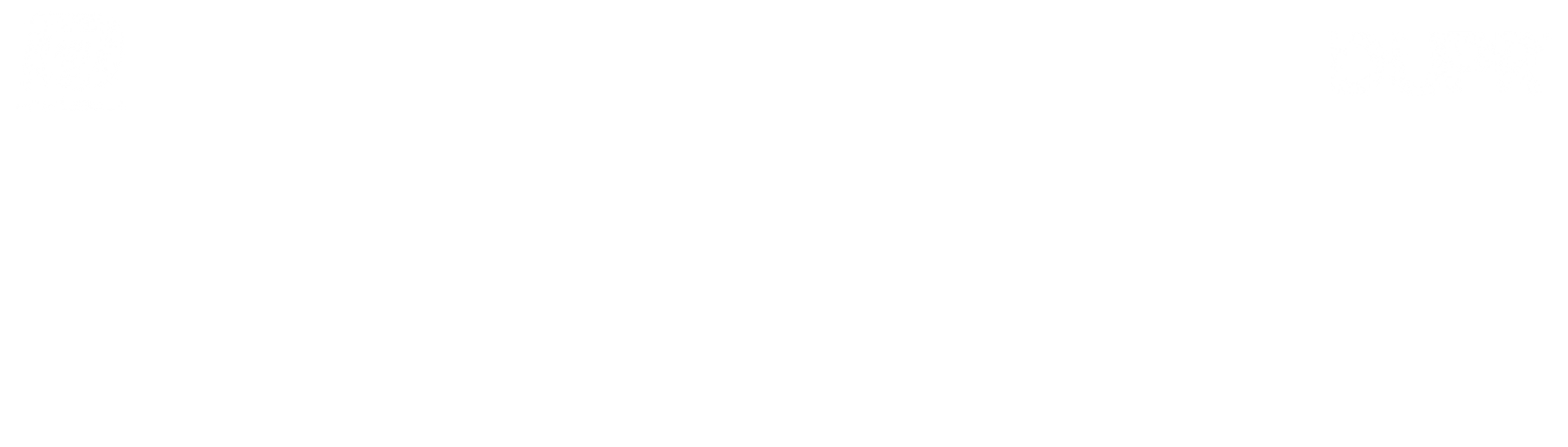 PICKLEBALL-TEXT-WEBSITE-1